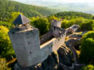 photo Journée des bénévoles au château du Bernstein