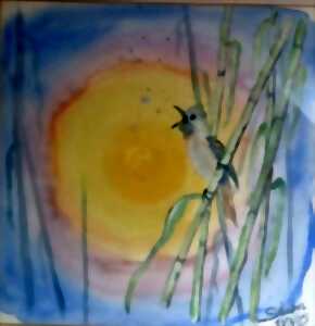photo Exposition : colore le monde