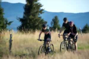 photo Découvrez la région de Molsheim-Mutzig à vélo