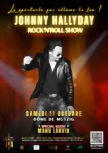 photo Johnny Hallyday Rock'n'Roll show
