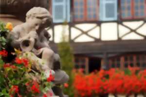 photo Visite guidée estivale - l'essentiel d'Obernai en 1h