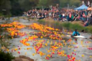 photo Grande course des canards