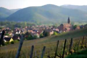 photo De la vigne au verre : circuit viticole dans le vignoble