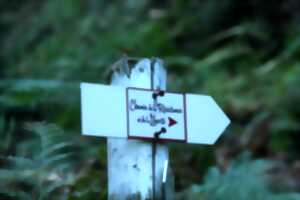 photo Visite guidée du chemin de la résistance