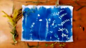 photo Initiez-vous au cyanotype