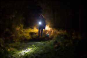 photo Marche nocturne de montagne