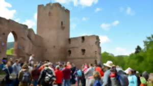 photo Expériences Mossig & Vignoble : Visite guidée du Château de Wangenbourg