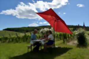 photo Pique-nique du vigneron -  Domaine Frey