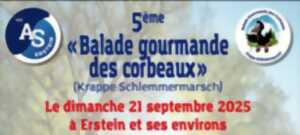 photo Balade gourmande des corbeaux
