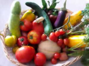 photo Exposition fruits fleurs légumes
