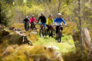 photo Sortie encadrée VTT E-bike