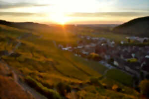 photo Balade dans le Schlossberg et dégustation de vins de terroirs