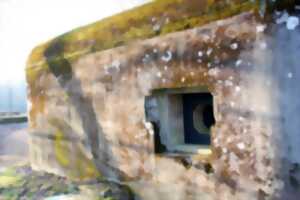 photo Visite guidée de Herbitzheim et de la Ligne Maginot aquatique