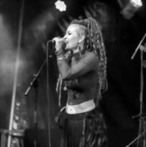 photo Concert avec LJ & the Rods
