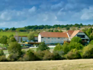 photo Marché du terroir 