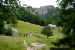 photo Club Vosgien : le Frankenthal par le sentier de la Bloy