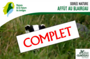photo Affût au blaireau