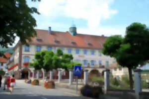 photo Visite commentée de la commune de Wattwiller