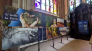 photo Exposition : si belle la terre