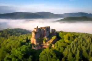 photo Visite-découverte du château de Fleckenstein en français