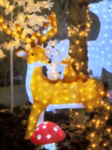 photo Les Dimanches Illuminés