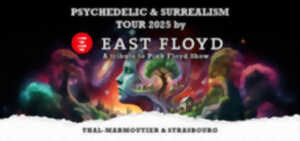 photo Psychedelic & Surrealism Tour by EAST FLOYD A tribute to Pink Floyd