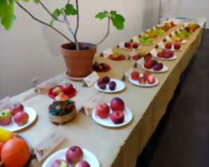 photo Pommes !
