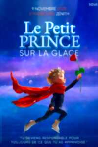 photo Le Petit Prince Sur La Glace