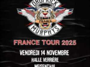 photo Dropkick Murphys en concert