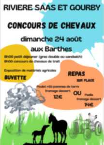 photo Concours de chevaux de trait
