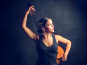 photo FESTIVAL ALBA FLAMENCA