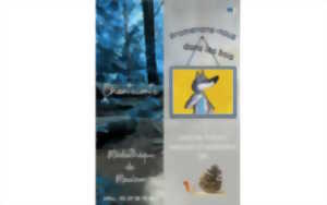 photo Chanteconte : promenons-nous dans les bois