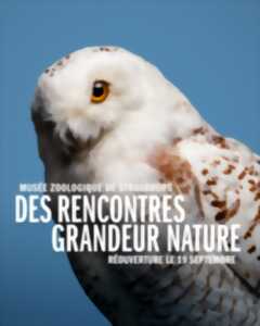photo Festivités de réouverture