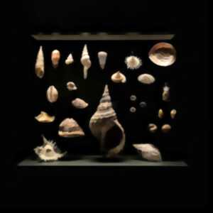 photo Classer le vivant: toute une science!