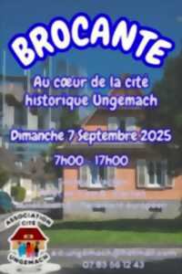 photo Brocante de la cité ungemach