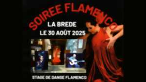 photo Soirée Flamenco
