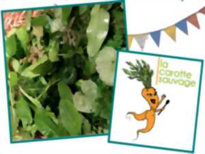photo Cueillette et cuisine sauvages