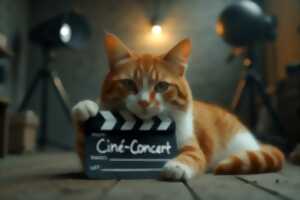 photo Ciné-concert pour la clôture de saison à la Scénette