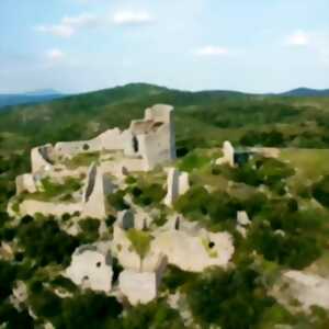 photo JOURNÉES EUROPÉENNES DU PATRIMOINE 2025: DÉCOUVERTE DU CASTELAS D'AUMELAS