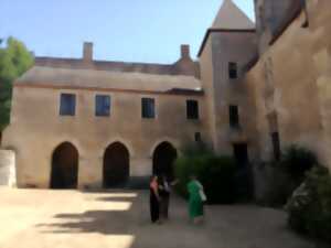 photo Visite guidée au Château pour les groupes