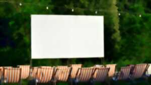 photo Goliath, Germaine et moi - Projection - Limoges