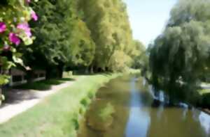 photo Fête du canal | Grand pavois