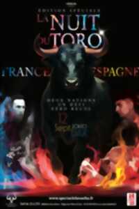 photo Nuit du toro