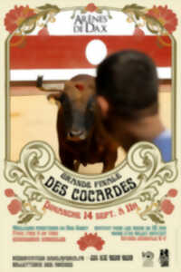 photo Grande Finale des Cocardes