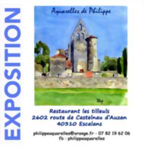 photo Aquarelles de Philippe