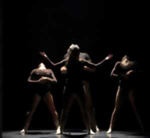 photo Le Mois de la danse - Spectacle Le Lac des Cygnes de BM Compagnie
