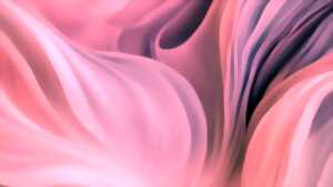 photo Objectif Rose - Exposition 2025 - Limoges