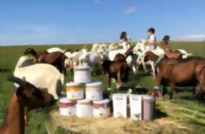 photo Les soirées à la ferme