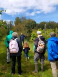 photo Ici, nos savoir-faire - Visite ludique du verger bio de Quinsac