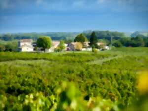 photo Ici, nos savoir-faire - Visite du Château Pourquey Gazeau